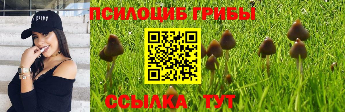Псилоцибиновые грибы Psilocybine cubensis  Галлюциногенные грибы Magic Shrooms  Вход с VPN  Новосибирск 